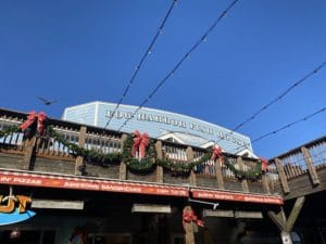 Fog Harbor during christmas