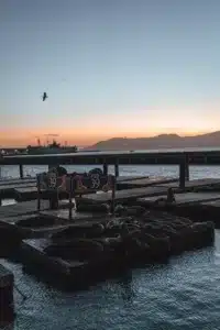 Pier 39